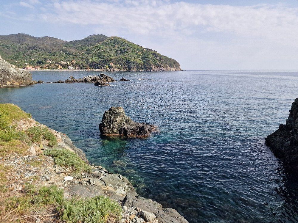 Levanto Cove