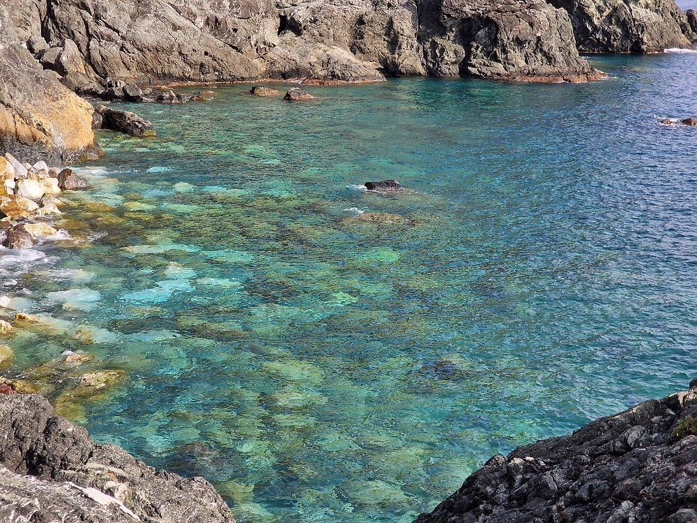 Levanto Cove