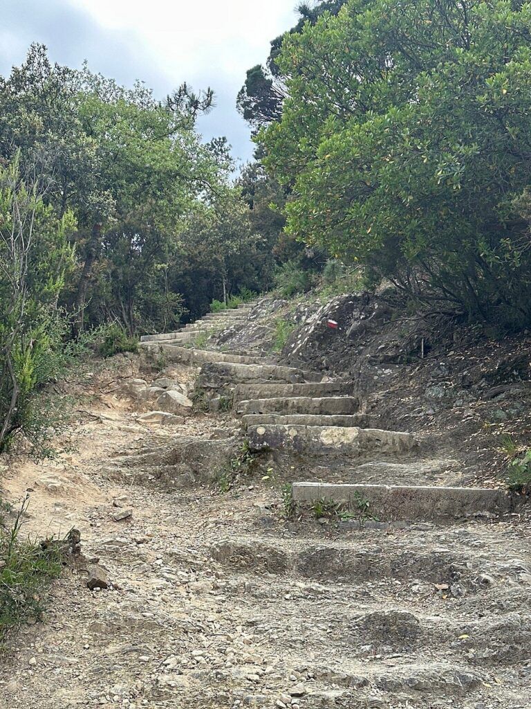 Levanto to Monterosso Trail