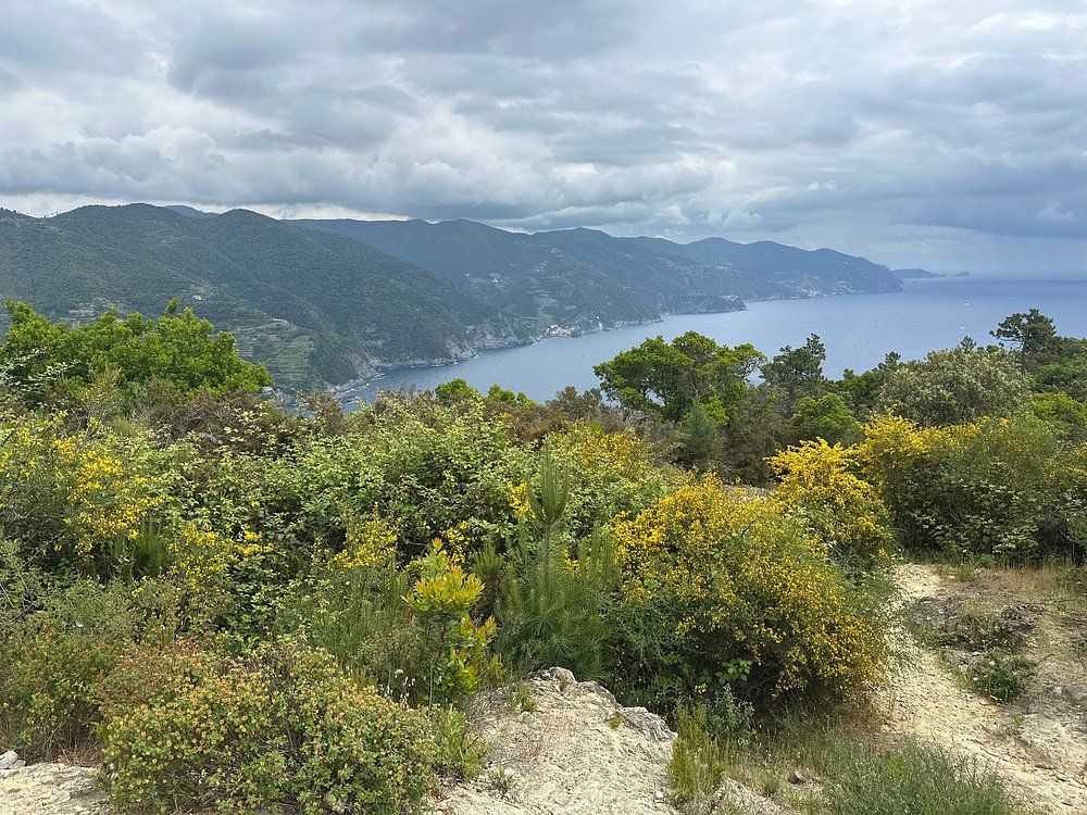 Levanto to Monterosso Trail