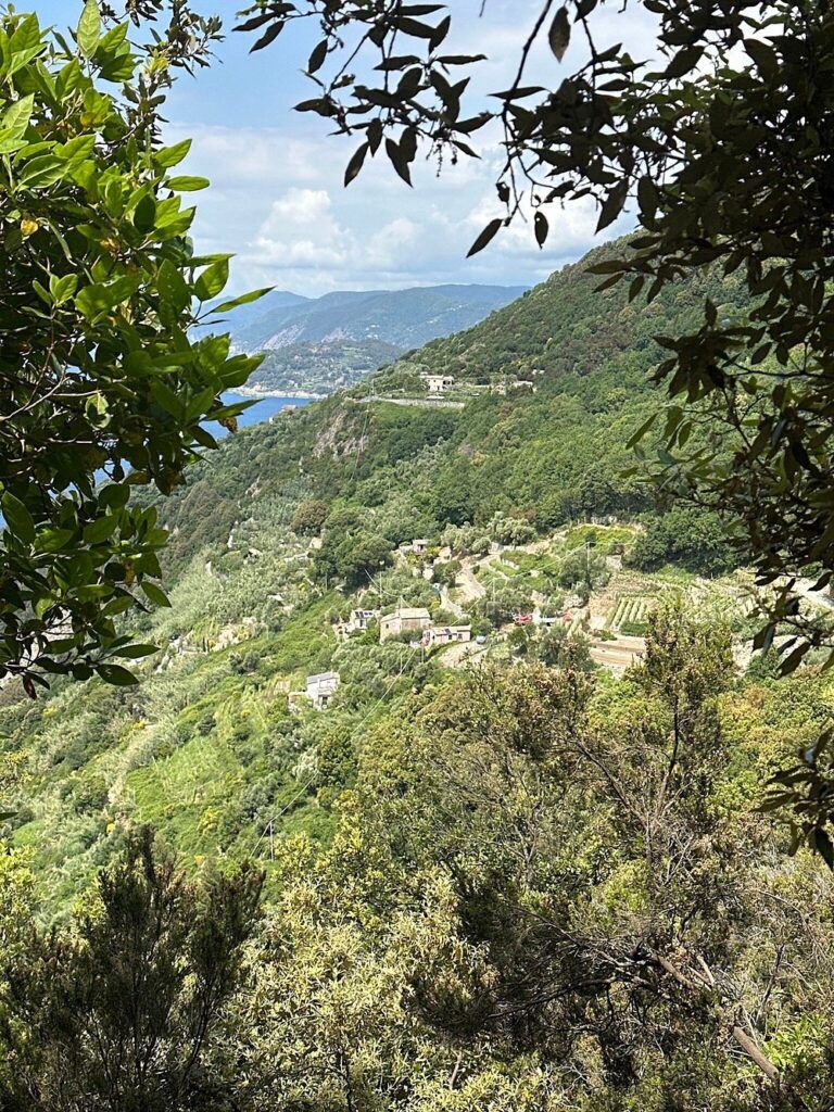 Levanto to Monterosso Trail