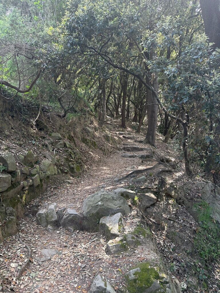 Levanto to Monterosso Trail